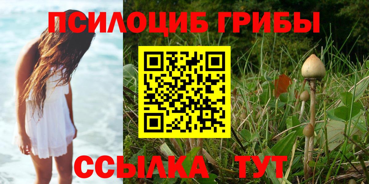 Псилоцибиновые грибы мухоморы Сатка