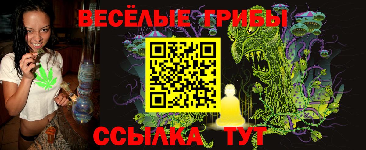 Сатка  Галлюциногенные грибы ЛСД  Вход с VPN 